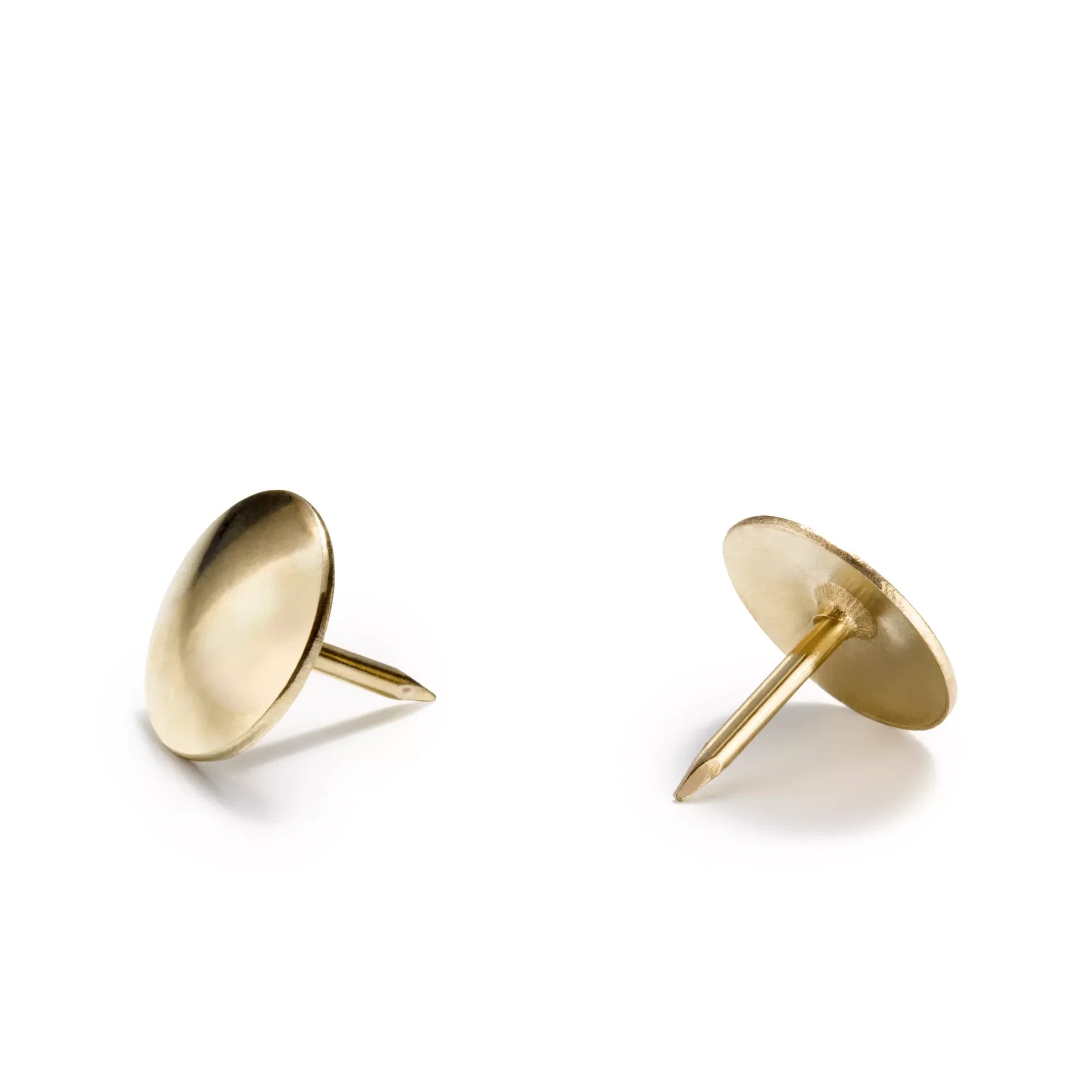 Two gold-coloured mild steel drawing pins with 10mm round heads shown on a white background.