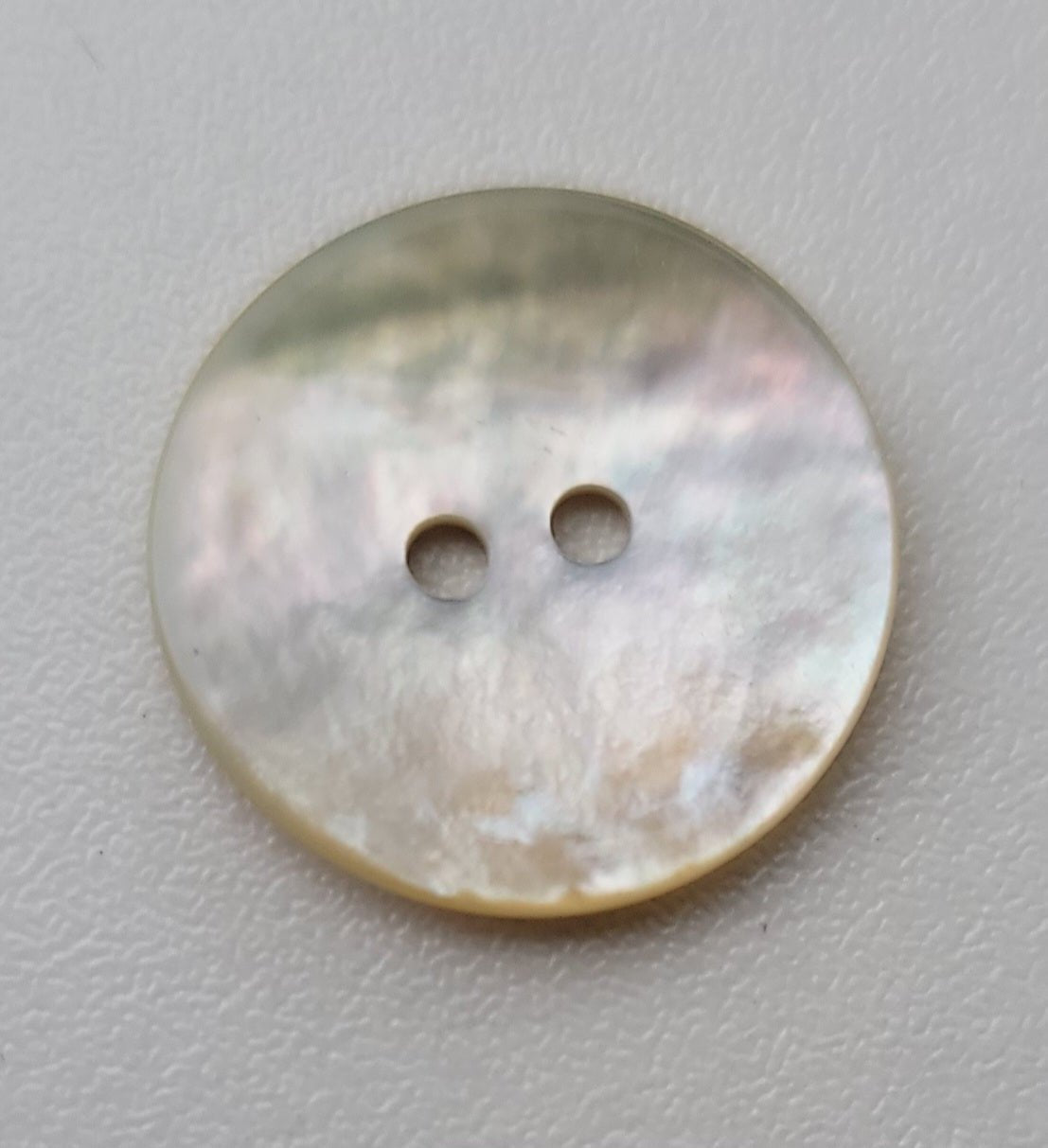 A 20mm natural shell button with two holes.