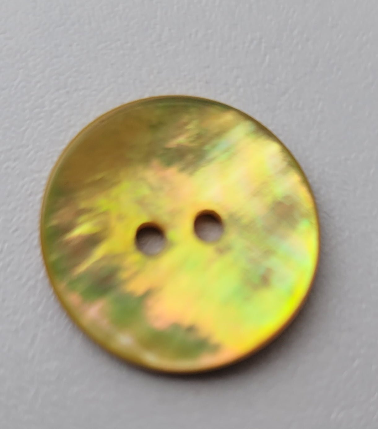Shell buttons, 20mm - Galedi Pins