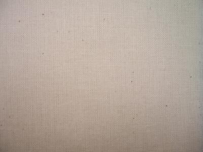 Natural white cotton calico canvas fabric with a woven texture.