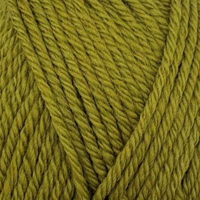 Close-up of Stylecraft Naturals Pure Wool DK yarn in Mistletoe green showing twisted stitch texture.