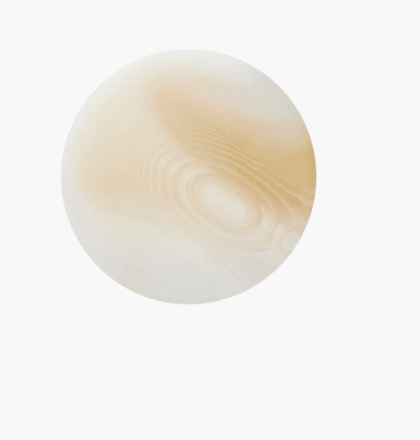 Polyester button shank, 23mm - Galedi Pins