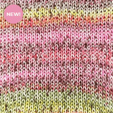 STYLECRAFT Colour Burst - Galedi Pins