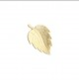 Motif Leaf/ Patch Patches/ Steph. - Galedi Pins