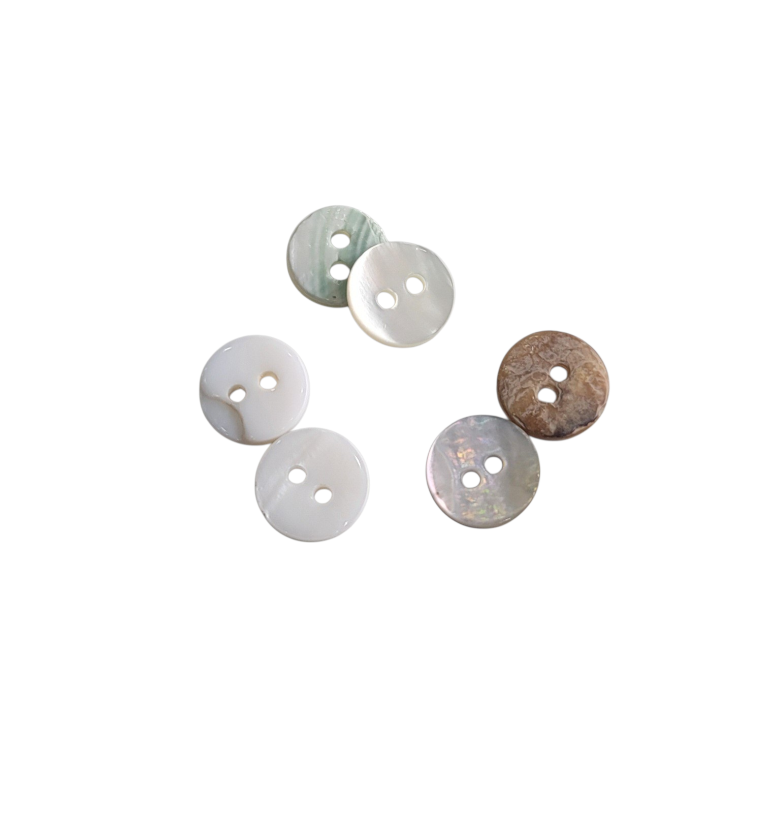 Six small, round natural shell buttons with two holes each, shown in various iridescent shades.