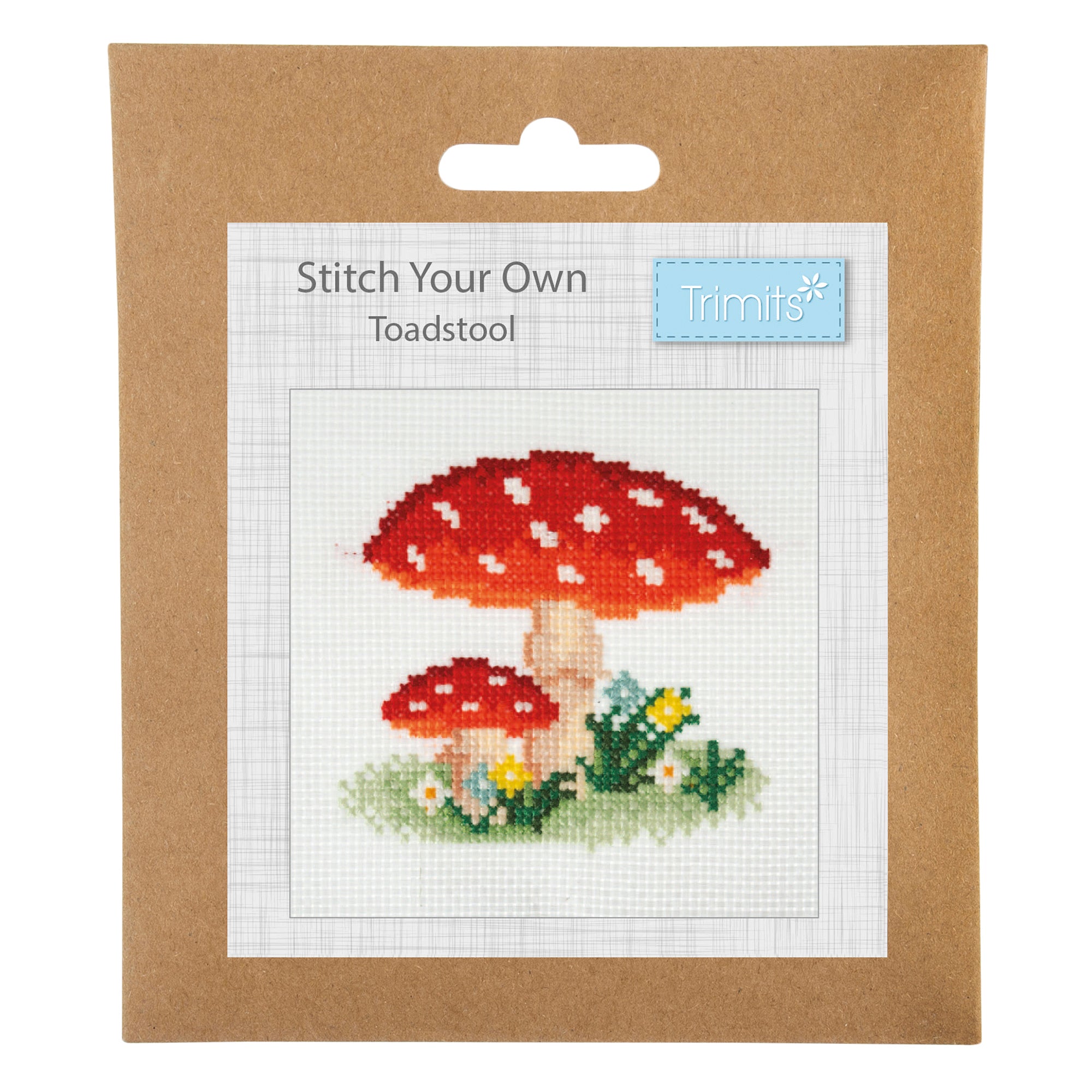 Counted cross stitch kit featuring a red and white toadstool design in a brown paper package.