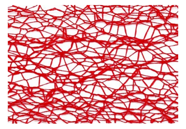 Red polyester mesh ribbon with a web-like pattern.