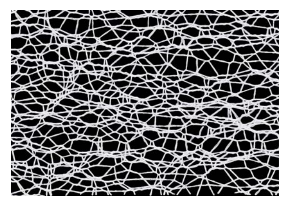 White polyester mesh ribbon with an irregular web-like pattern.