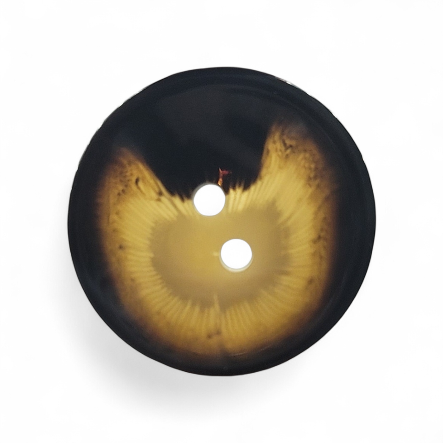 2 Hole, Mixed Brown See Through Polyester Button, 28mm