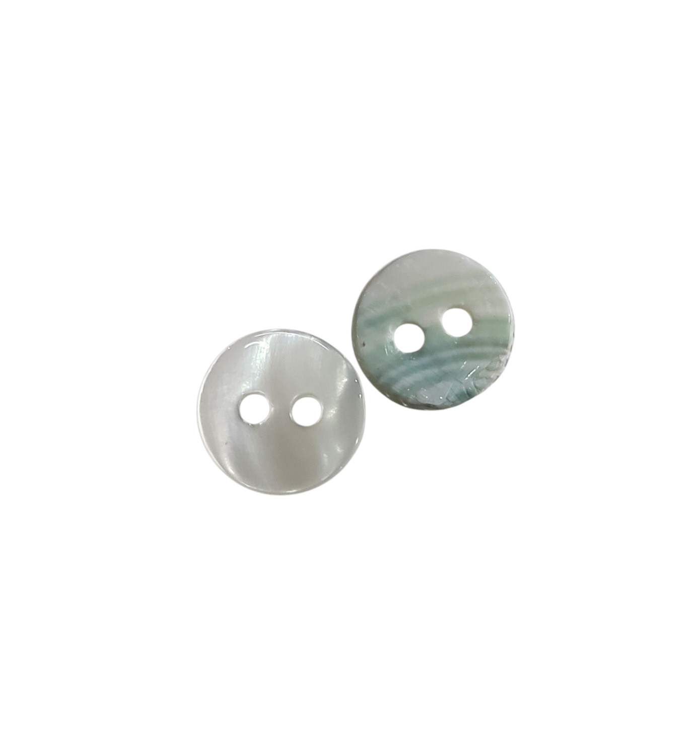 Two small, round natural shell buttons with two holes and a shimmering iridescent finish.